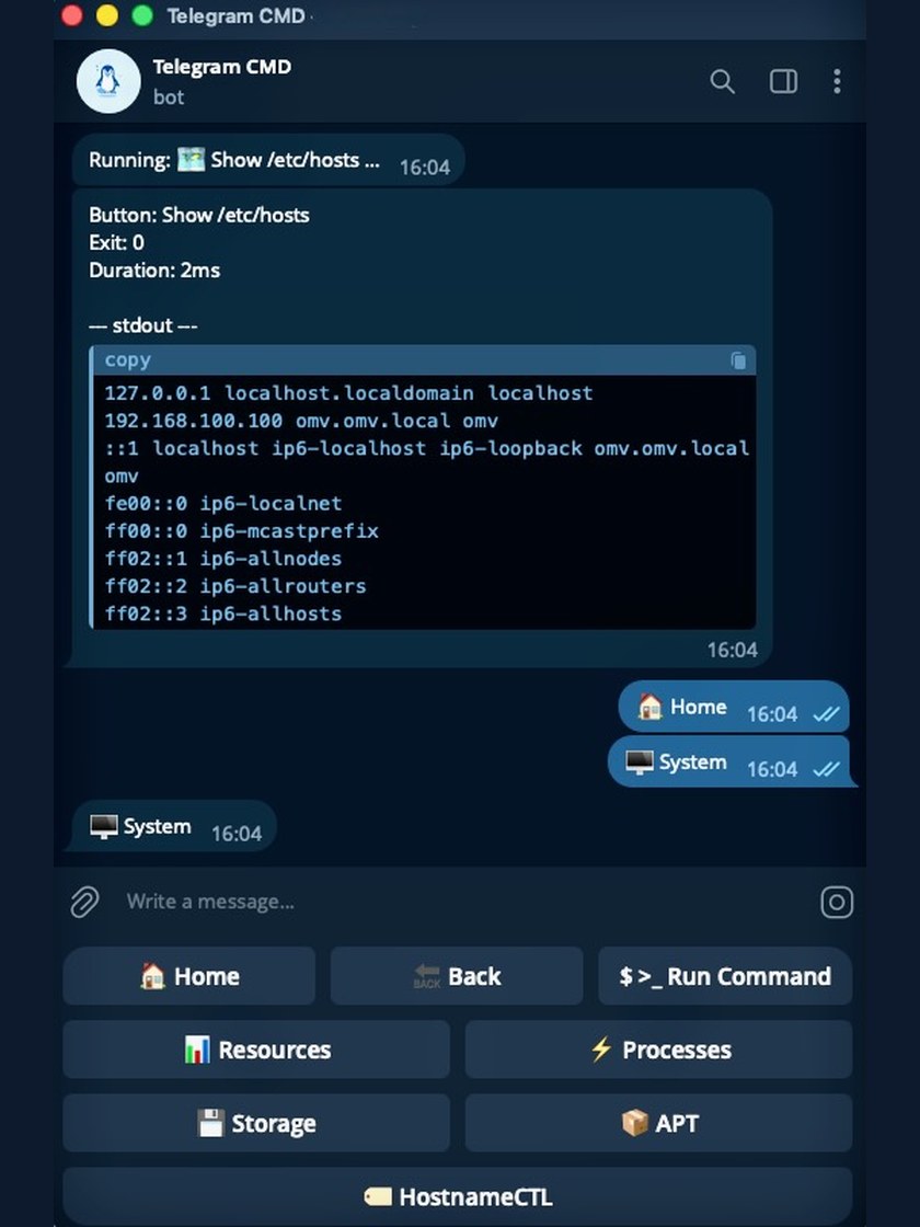 Command output with the System menu open